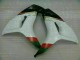 Blanco Negro Carenado Moto Honda CBR 1000 RR 06-07