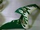 Carenados Moto Honda CBR1000RR 2006-2007 - Blanco Verde Llama Fábrica