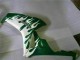 Carenados Moto Honda CBR1000RR 2006-2007 - Blanco Verde Llama Fábrica