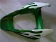 Carenados Moto Honda CBR1000RR 2006-2007 - Blanco Verde Llama Fábrica