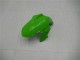 Carenados Moto Kawasaki Ninja 300 EX300R 2013-2024 - Blanco Verde Negro Fábrica