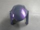 Carenados Moto Kawasaki ZX6R 2019-2022 - Camaleón Gris Dazz Púrpura Perla Fábrica