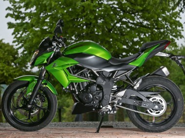 Carenados Moto Kawasaki Z250/Z300 2015-2016 - Verde Negro Mate Fábrica