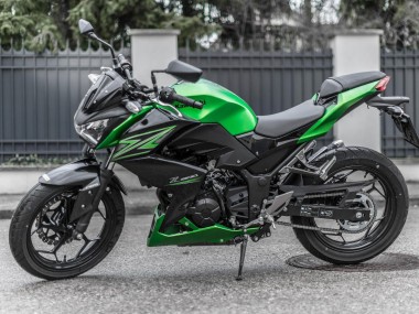 Kits Carenado Moto Kawasaki Z250/Z300 2015-2016 - Verde Negro Mate Fábrica