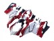 Carenados Moto Ducati Panigale V4 V4S 2020-2021 - Blanco Rojo Verde Negro Mate Fábrica