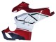 Carenados Moto Ducati Panigale V4 V4S 2020-2021 - Blanco Rojo Verde Negro Mate Fábrica