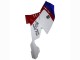 Carenados ABS BMW K1200S 2005-2010 - Blanco Rojo Azul Fábrica