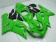 Carenado Moto Kawasaki ZX6R 2005-2006 - Verde Fábrica