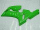 Carenado Moto Kawasaki ZX6R 2005-2006 - Verde Fábrica