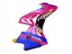 Carenados Moto BMW S1000RR 2015-2016 - Rosa Azul Tiburón Fábrica