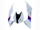 Carenados Moto BMW S1000RR 2009-2014 - Blanco Rojo Azul Negro Tyco Fábrica