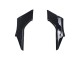 Carenados Moto Kawasaki EX300 2013-2024 - Negro Brillante Fábrica