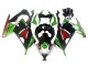 Carenados Moto Kawasaki EX300 2013-2024 - Verde Blanco Rojo Negro Elf Fábrica
