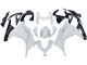Carenados Moto Kawasaki EX300 2013-2024 - Blanco Negro Fábrica