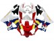 Carenados Moto Honda CBR900RR 919 1998-1999 - Blanco Rojo Amarillo Azul Fábrica