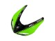 Carenados Moto Kawasaki ZX10R 2006-2007 - Verde Negro Elf Touch4 3M Fábrica