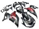 Carenados Moto Kawasaki ZX14R ZZR1400 2012-2024 - Negro Mate Rojo Blanco Ninja Fábrica