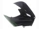 Carenados Moto Kawasaki ZX14R ZZR1400 2012-2024 - Verde Negro Brillante Raya Fábrica