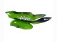 Carenados Moto Kawasaki ZX6R 1998-1999 - Verde Blanco Azul Plata Negro Brillante Fábrica