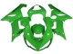 Carenados Moto Kawasaki ZX6R 2005-2006 - Verde Fábrica