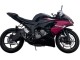 Carenados Moto Kawasaki ZX6R 2019-2022 - Negro Brillante Rosa Ninja Fábrica