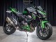 Carenados Moto Kawasaki Z800 2013-2018 - Verde Negro Brillante Fábrica