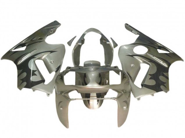 Carenados Moto Kawasaki ZX12R 2002-2006 - Plata Negro Fábrica