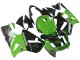 Carenado Moto Kawasaki ZX12R 2002-2006 - Verde Negro Brillante Elf Touch4 Monstruo Fábrica