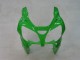 Carenados Moto Kawasaki ZX9R 2000-2001 - Verde Plata Negro Fábrica