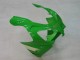 Carenados Moto Kawasaki ZX9R 2000-2001 - Verde Plata Negro Fábrica