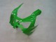 Carenados Moto Kawasaki ZX9R 2000-2001 - Verde Plata Negro Fábrica