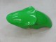 Carenados Moto Kawasaki ZX9R 2000-2001 - Verde Plata Negro Fábrica