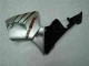 Plata ABS Moto Plástico Honda CBR 600 RR 05-06 Plata ABS Moto Plástico Honda CBR 600 RR 05-06