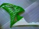 Verde Carenado Moto Honda CBR 1000 RR 06-07 Verde Carenado Moto Honda CBR 1000 RR 06-07