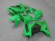 Verde Kit Carenado Moto Kawasaki EX250 08-12