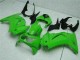 Verde Kits Completo Carenado Moto ABS Kawasaki EX250 08-12 Verde Kits Completo Carenado Moto ABS Kawasaki EX250 08-12