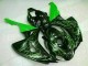 Verde Llama Negro Carenado Moto Honda CBR 1000 RR 06-07 Verde Llama Negro Carenado Moto Honda CBR 1000 RR 06-07