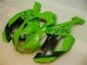 Verde Negro Dunlop Carenado Moto Kawasaki ZX6R 07-08 Verde Negro Dunlop Carenado Moto Kawasaki ZX6R 07-08