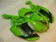 Verde Negro Dunlop Carenado Moto Kawasaki ZX6R 07-08 Verde Negro Dunlop Carenado Moto Kawasaki ZX6R 07-08