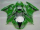 Verde Negro LeoVince Carenado Moto Kawasaki ZX6R 09-12 Verde Negro LeoVince Carenado Moto Kawasaki ZX6R 09-12