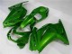 Verde Ninja Kit Carenado Moto Kawasaki EX250 08-12 Verde Ninja Kit Carenado Moto Kawasaki EX250 08-12