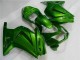 Verde Ninja Kit Carenado Moto Kawasaki EX250 08-12 Verde Ninja Kit Carenado Moto Kawasaki EX250 08-12